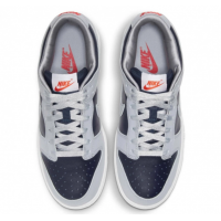 Nike Air Force 1 SB Dunk Low Atlas