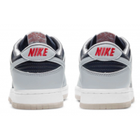 Nike Air Force 1 SB Dunk Low Atlas