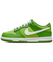 Nike Air Force 1 SB Dunk Low Kermit