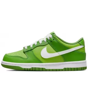 Nike Air Force 1 SB Dunk Low Kermit